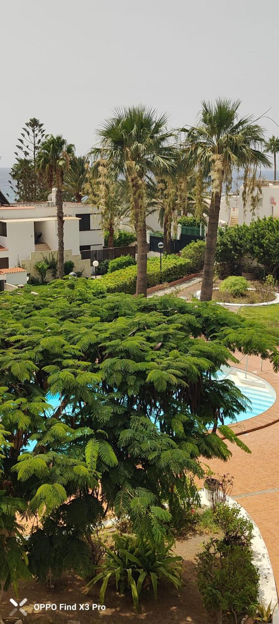 Sunrise Apartamentos Сан-Бартоломе Экстерьер фото